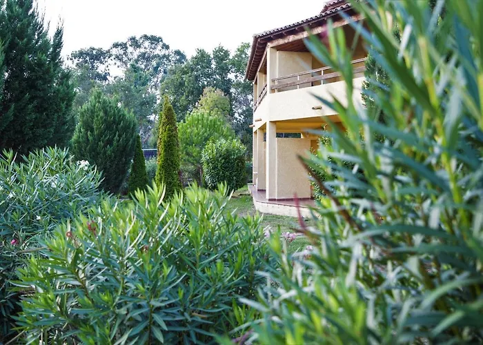 Appartement Marina Corsa 3 6 Persons 150 M Sandy