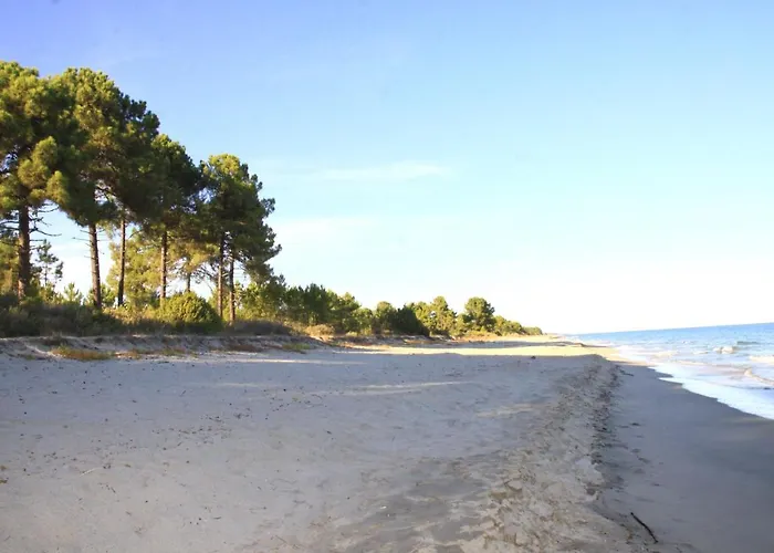 Appartement Marina Corsa 3 6 Persons 150 M Sandy *